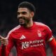 Premier League Bets