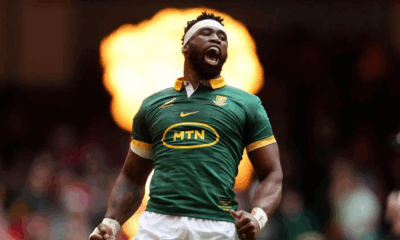 Rugby Springboks Predictions