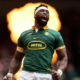 Rugby Springboks Predictions