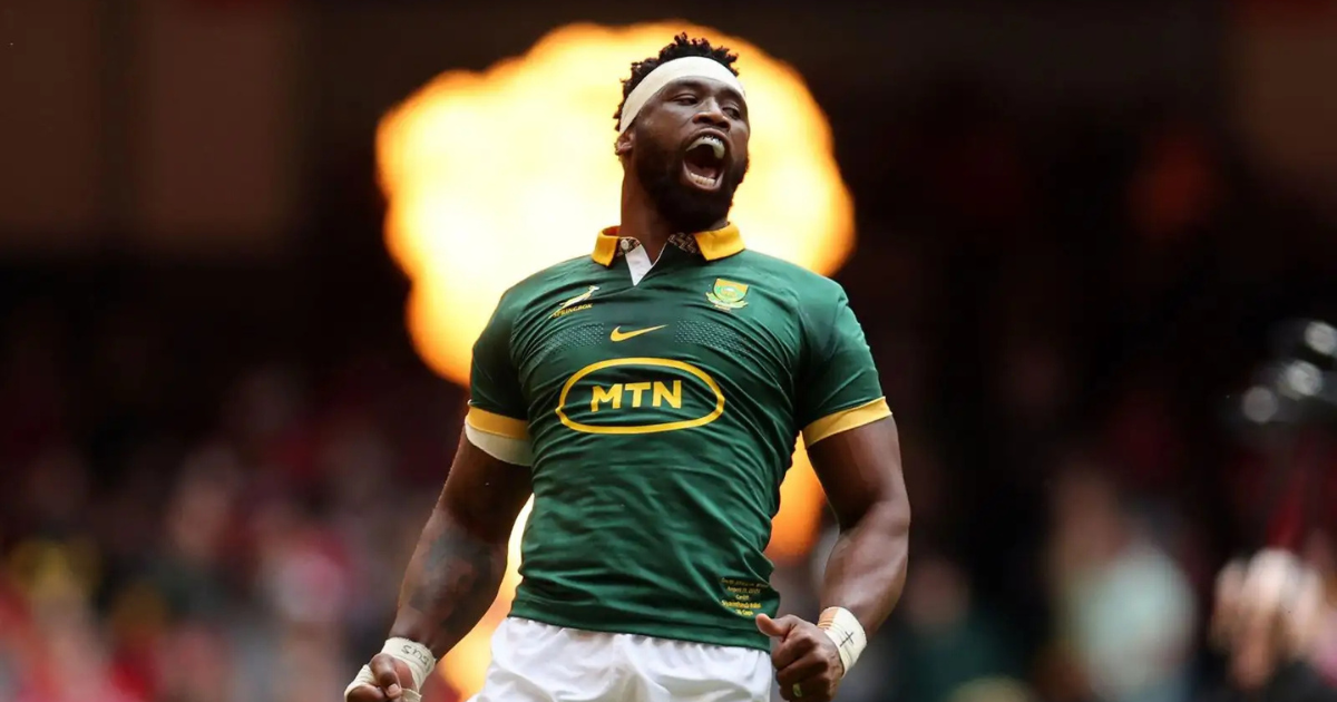 Rugby Springboks Predictions