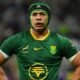 Springboks Italy Prediction