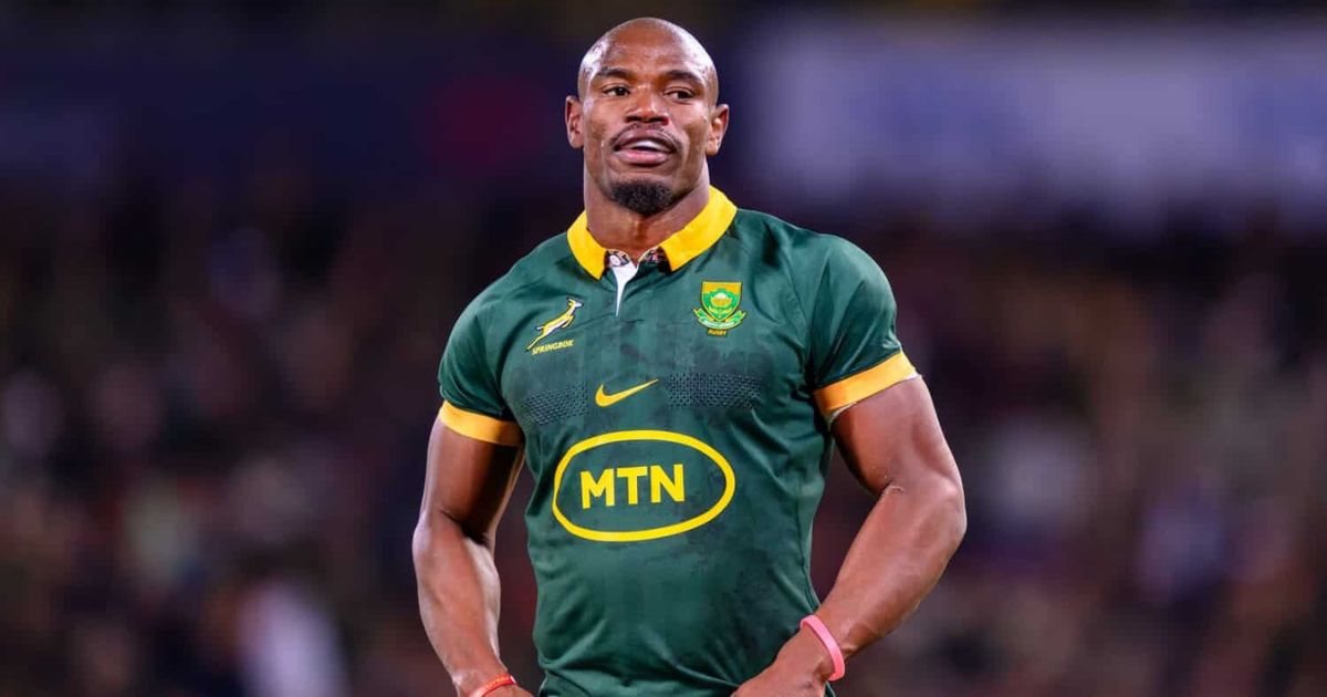 Springboks All Blacks