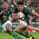 Rugby Championship Springboks