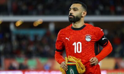 Egypt Ivory Prediction