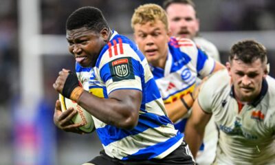 Stormers Bulls URC