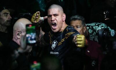 Alex Pereira Freedom