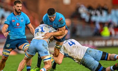 Blue Bulls