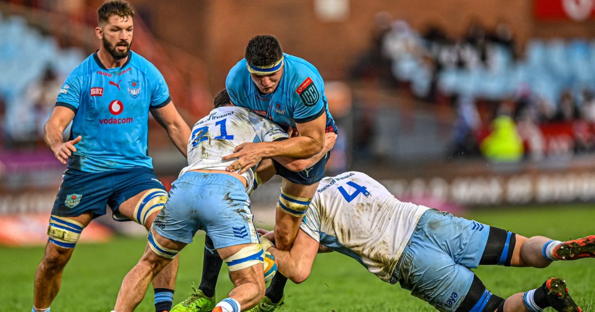 Blue Bulls