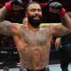 UFC Knockouts