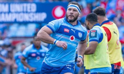 Bulls New Zealand