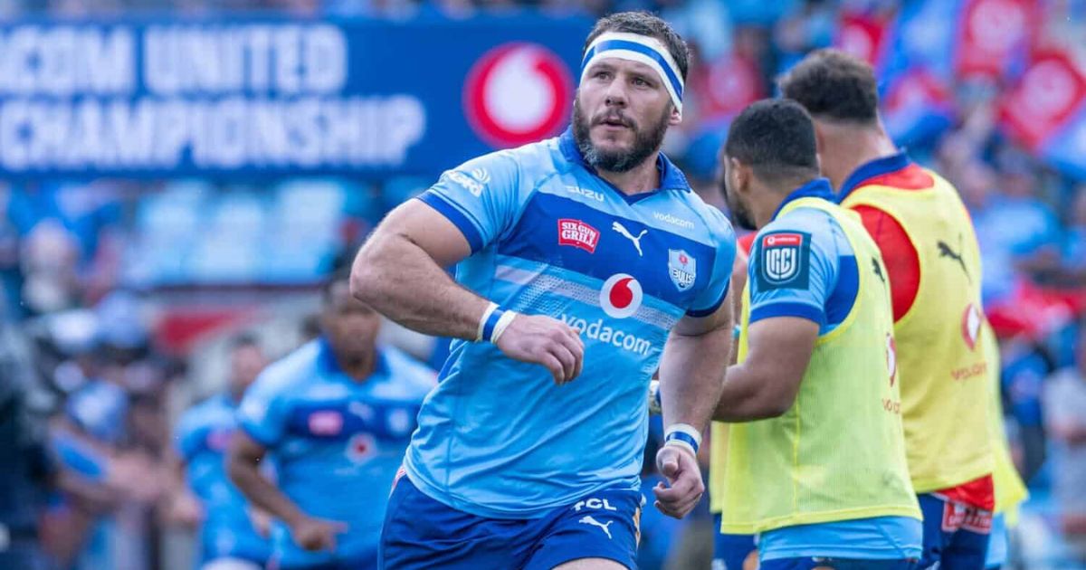 Bulls New Zealand