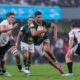 Springbok All Blacks