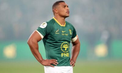 Rassie Springboks