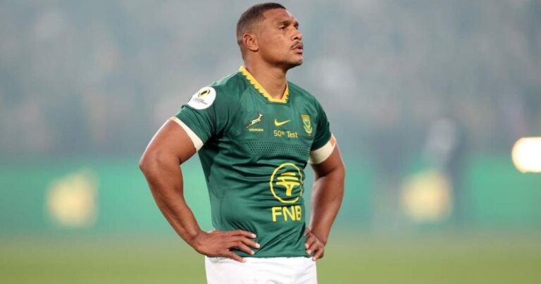 Rassie Springboks