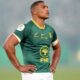 Rassie Springboks