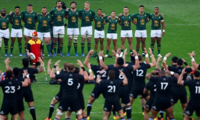 Springboks All Blacks Finale