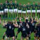 Springboks All Blacks Finale