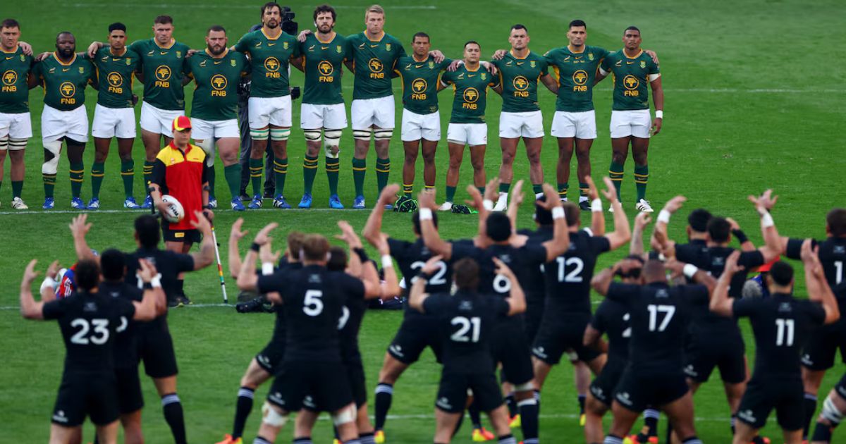 Springboks All Blacks Finale