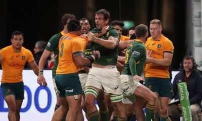 Springboks Wallabies
