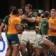 Springboks Wallabies