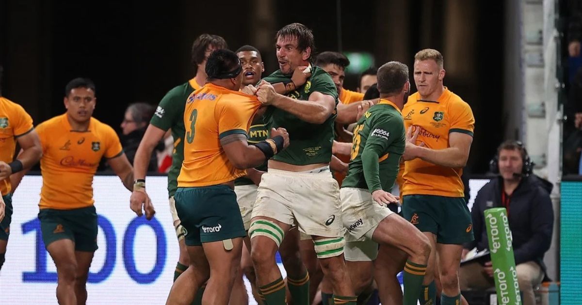 Springboks Wallabies