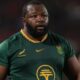 Boks Australia Ox