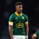 Springboks Australia Players