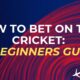 How To Bet On Test Cricket: A Beginner's Guide